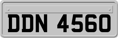 DDN4560