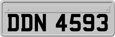 DDN4593