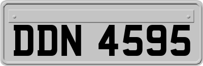 DDN4595