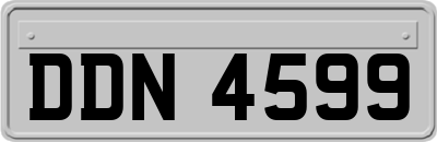 DDN4599