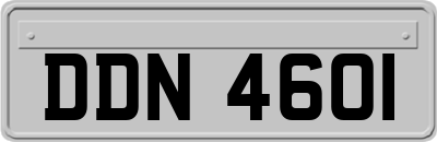 DDN4601