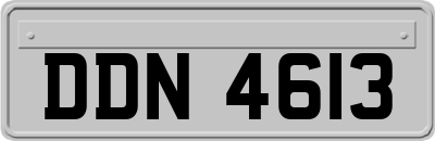 DDN4613