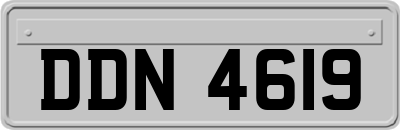 DDN4619