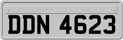 DDN4623