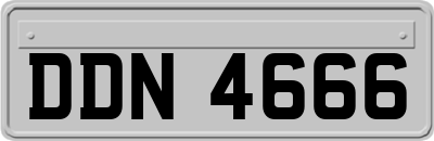 DDN4666