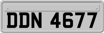 DDN4677