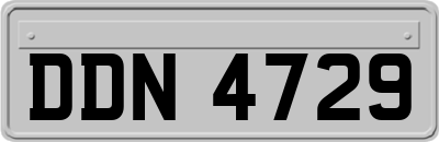 DDN4729