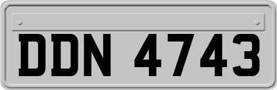 DDN4743