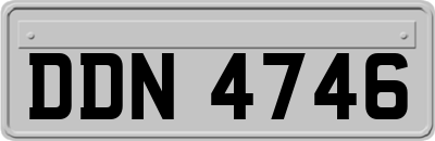 DDN4746