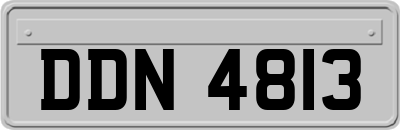 DDN4813