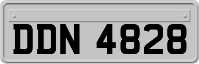 DDN4828