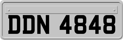 DDN4848