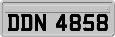 DDN4858