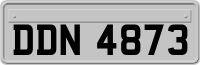 DDN4873