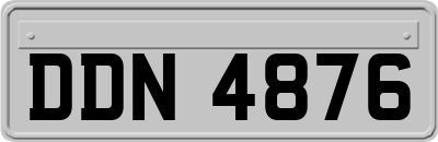 DDN4876