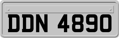 DDN4890