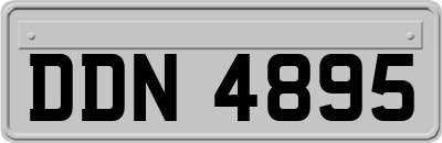 DDN4895