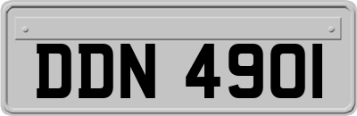 DDN4901