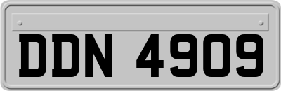 DDN4909