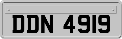 DDN4919