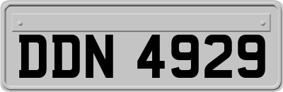 DDN4929