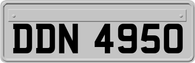 DDN4950