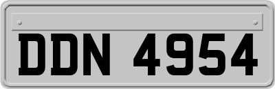 DDN4954