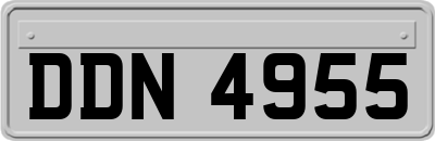 DDN4955