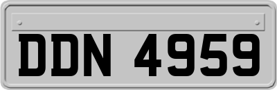 DDN4959