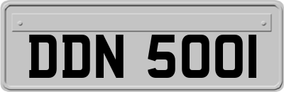 DDN5001