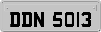 DDN5013