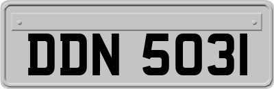DDN5031