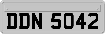 DDN5042