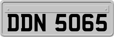 DDN5065