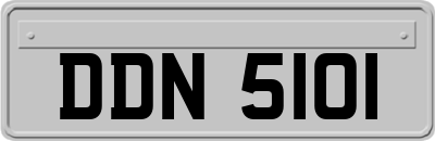 DDN5101