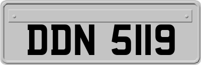 DDN5119