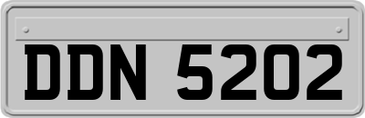 DDN5202