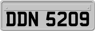 DDN5209