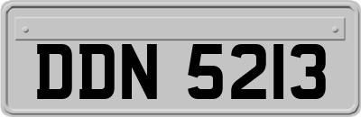 DDN5213