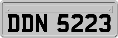 DDN5223