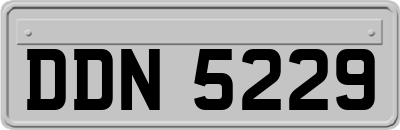 DDN5229