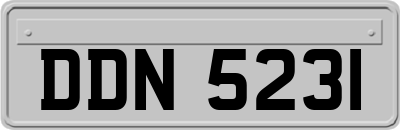DDN5231