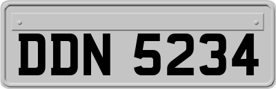 DDN5234