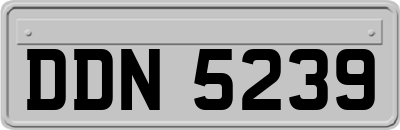 DDN5239
