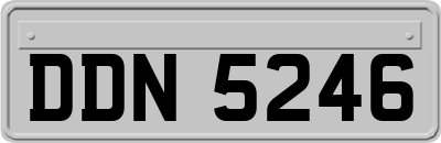 DDN5246