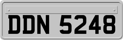 DDN5248