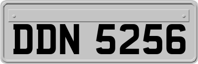 DDN5256