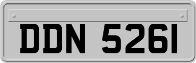 DDN5261