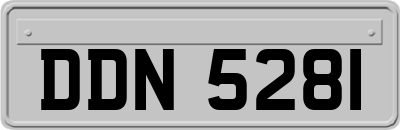 DDN5281