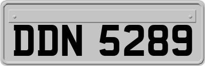 DDN5289